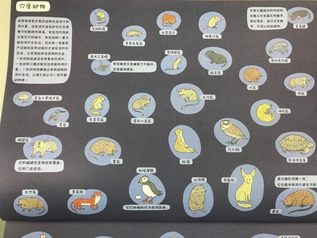 图片5.jpg