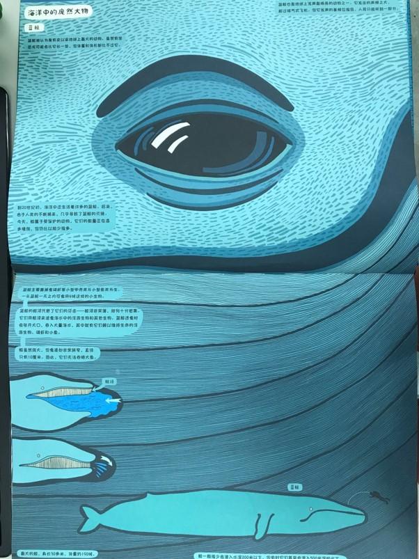 图片12.jpg