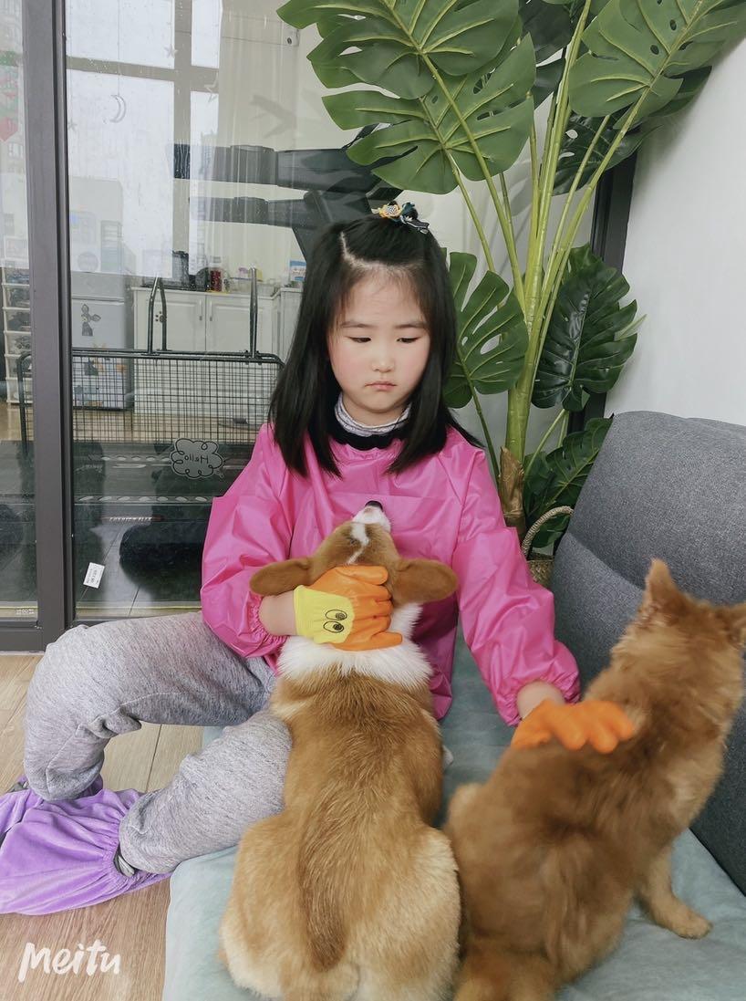 WeChat Image_20200215003647.jpg